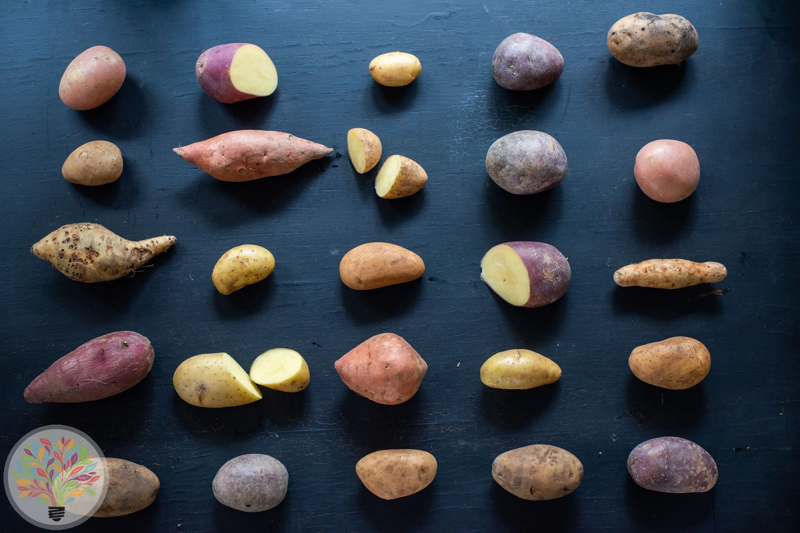 Solanum tuberosum – Afbeelding 5 van 10